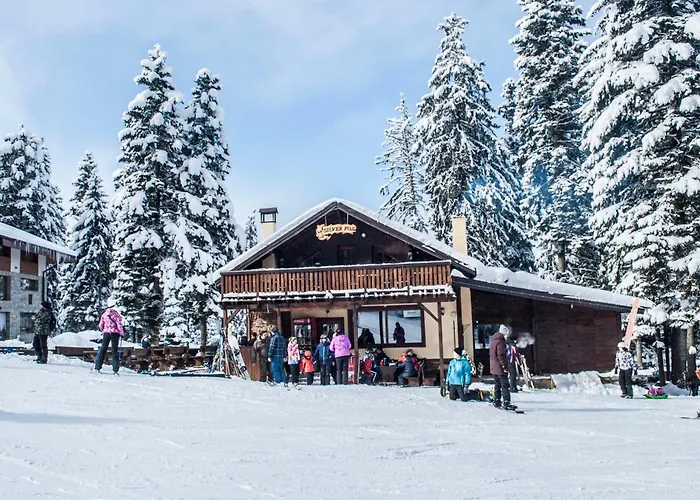 Daire Private Large In Iglika 2 For 4 People Borovets